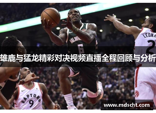 雄鹿与猛龙精彩对决视频直播全程回顾与分析