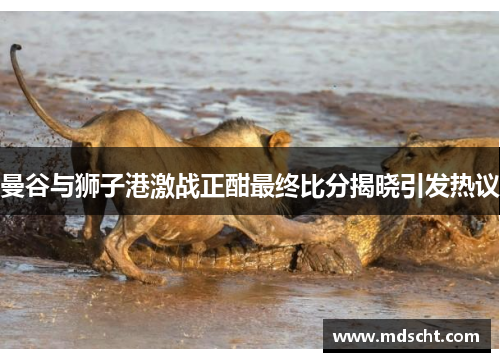 曼谷与狮子港激战正酣最终比分揭晓引发热议